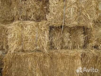 Солома в тюках. ячмень 35руб,пшеница 25руб