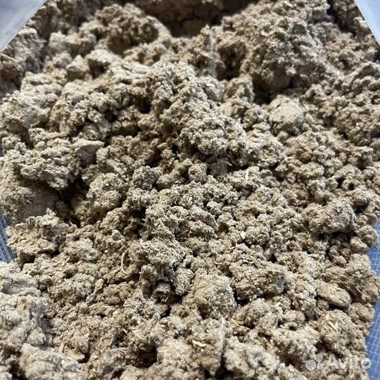 Рейши (трутовик лакированый / линчи)