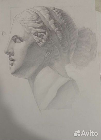 Академический рисунок индивидуальные занятия