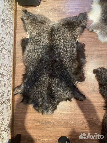 Шкура овчина