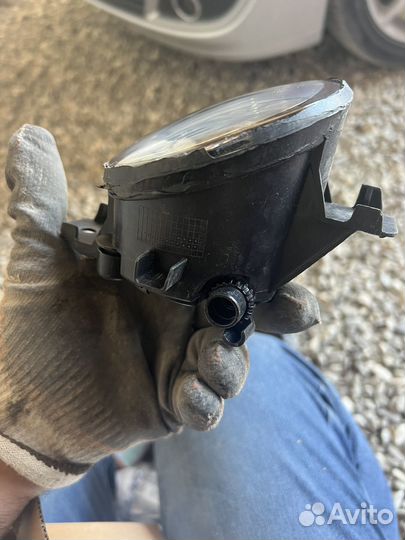 Противотуманник