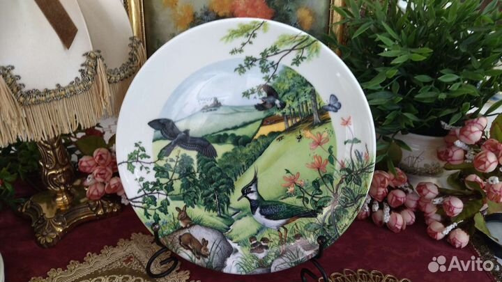 Wedgwood тарелка Colin Newman