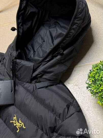 Куртка arcteryx