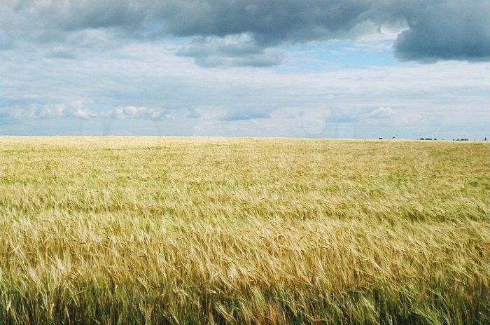 Участок 6,1 га (СНТ, ДНП)