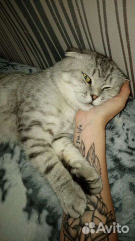 Передержка