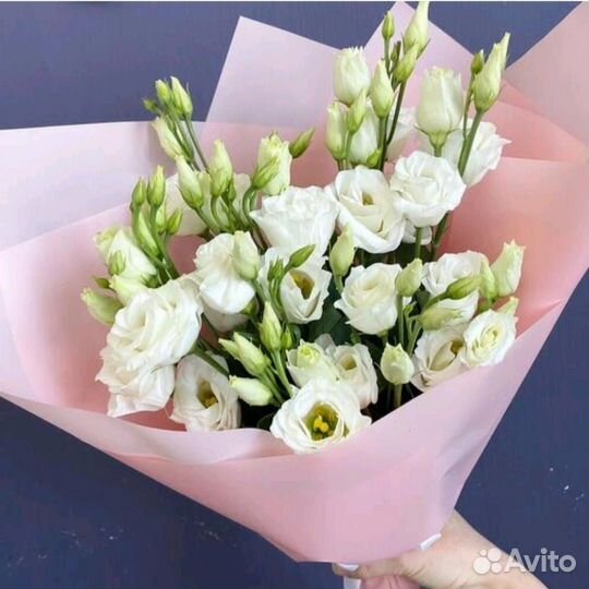 Лизиантус Эустома