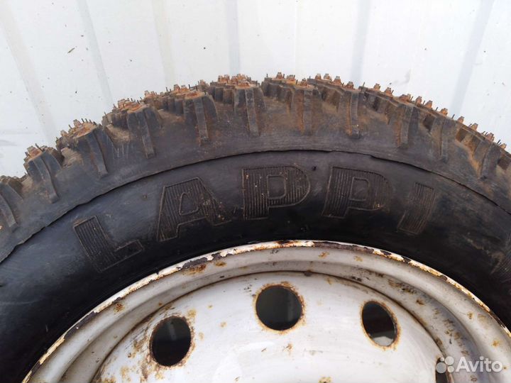 Lappi Winter 10/65 R16