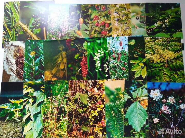 Наборы открыток