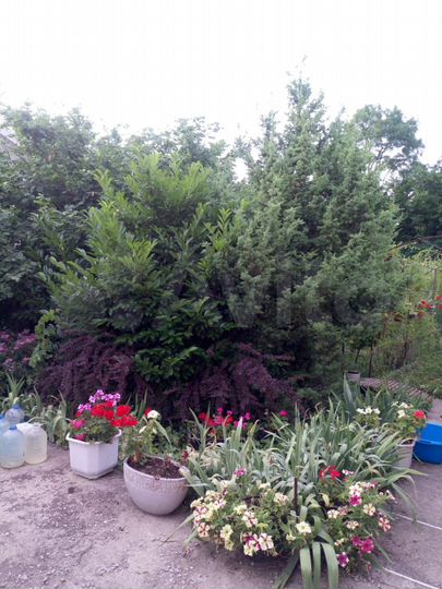 Дом 75 м² на участке 6 сот.