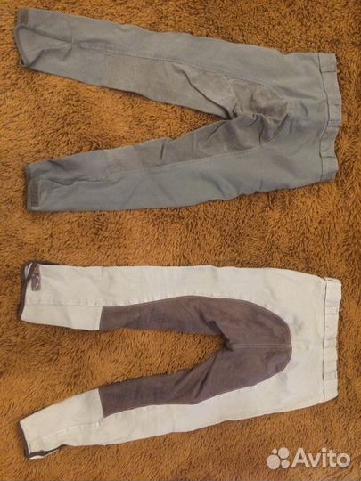 Бриджи для конного спорта