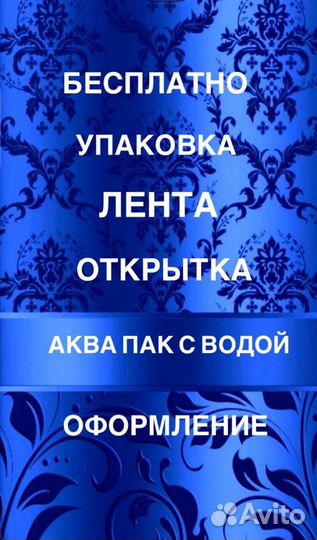 Розы белые 55 шт крупные сорта Anastasia Эквадор