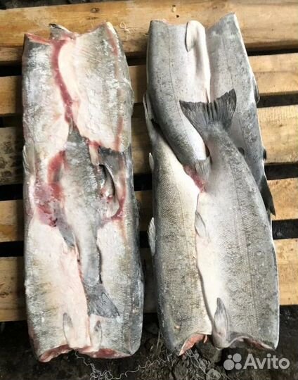 Рыба кижуч свежемороженый