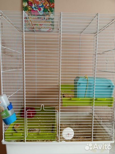 Клетка для грызунов