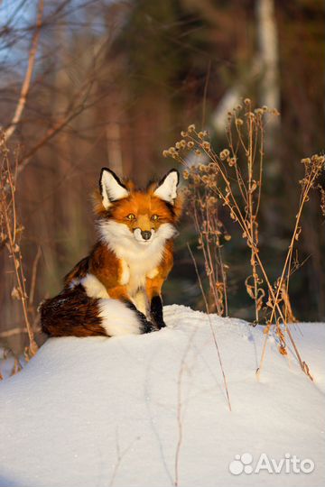 Лиса интерьерная игрушка из искусственного меха