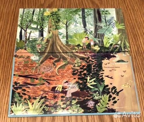 Животные снаружи и внутри. Над землей и под землей