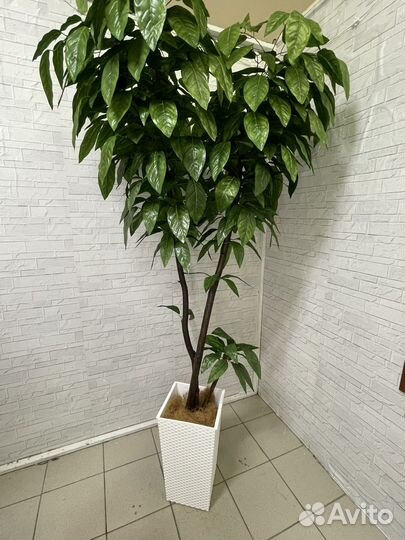 Деревья искусственные