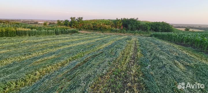 Продам сено в тюках