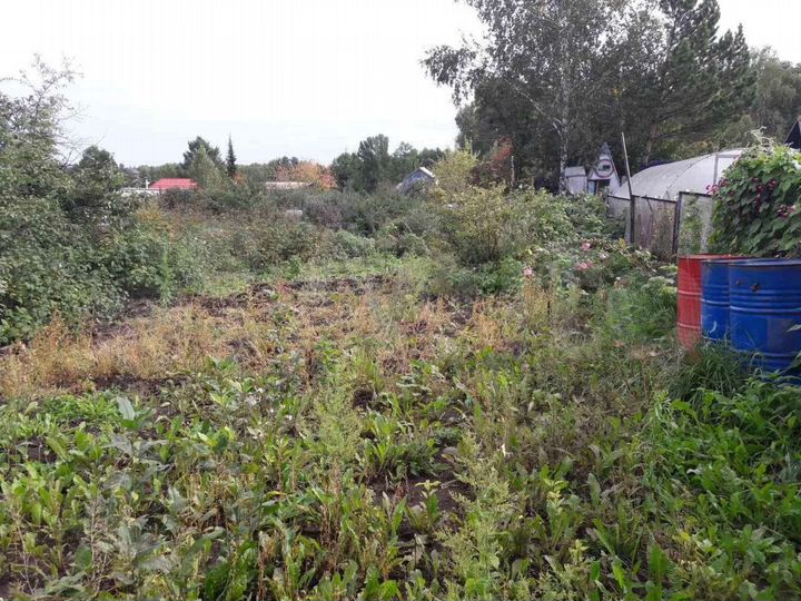 Участок 5,6 сот. (СНТ, ДНП)