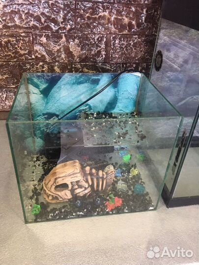 Аквариум