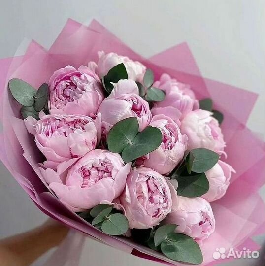 Пионы Цветы Доставка