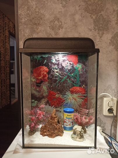 Аквариум