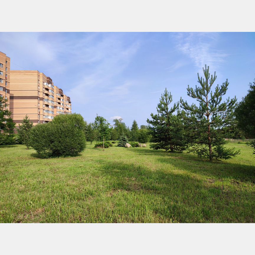 2-к. квартира, 59,1 м², 9/9 эт.