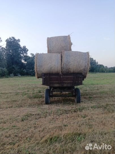 Продам сено в рулонах