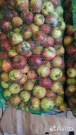 Яблоки, на переработку