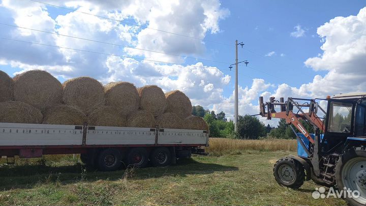 Сено в тюках так же есть солома