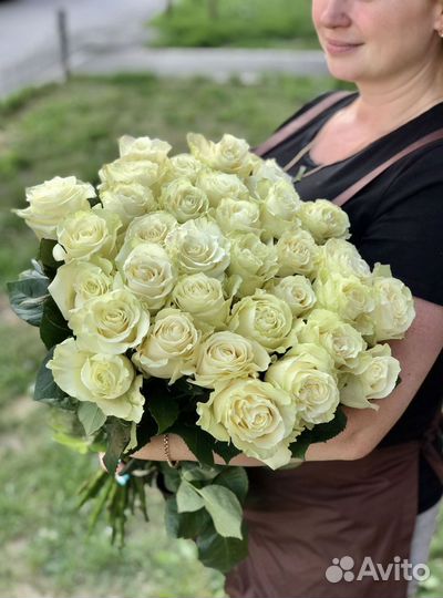 Роза Эквадор