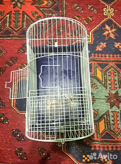 Клетка для хомяков (джунгариков)