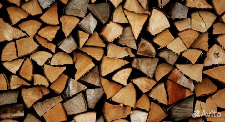 Дрова колотые дуб