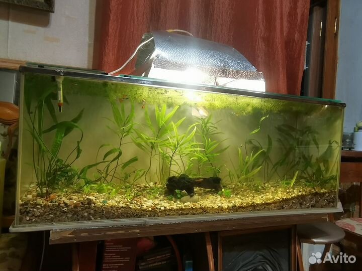 Для Аквариумистики