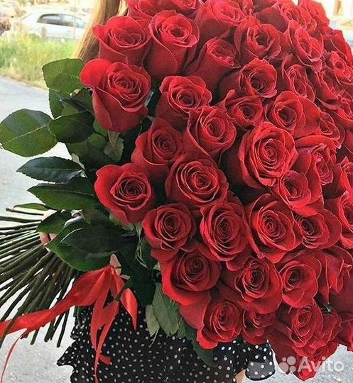 Высокие розы Гигантские розы 110