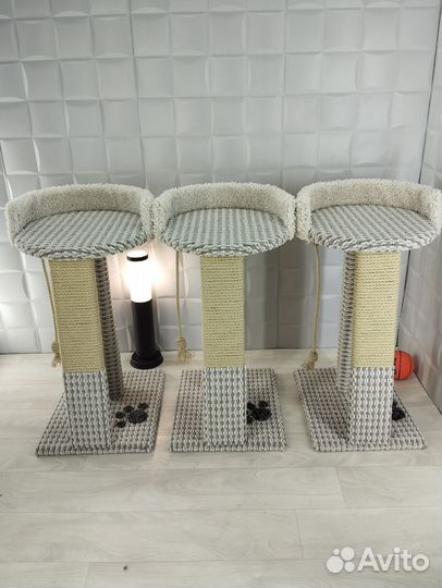 Когтеточка