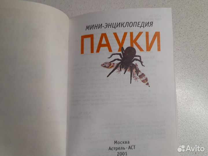 Книга энциклопедия Пауки