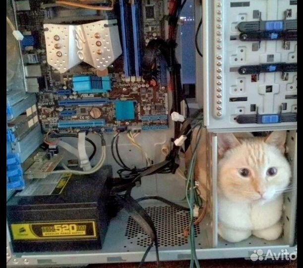 Ремонт/настройка/установка компьютеров