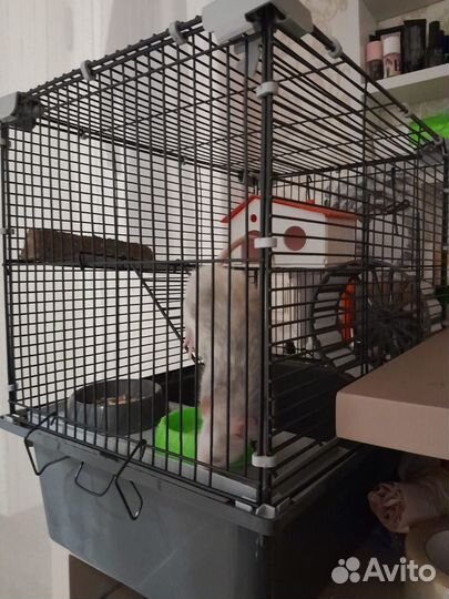 Клетка для крысы, хомяка