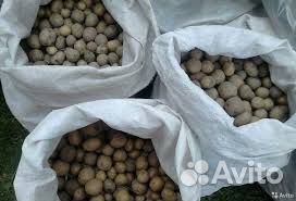 Семенной картофель в мешках
