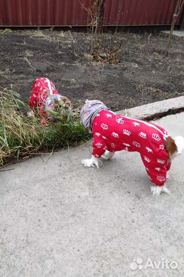 Пыльники из гладкого хлопка