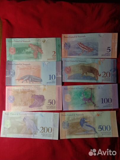 Венесуэла 2018 года