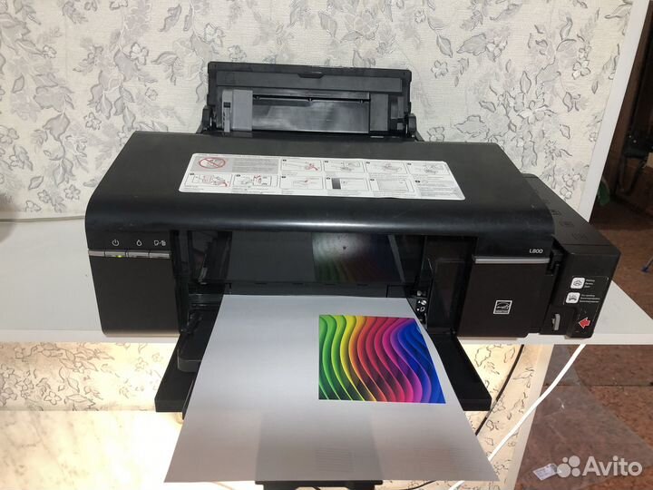 Epson l800