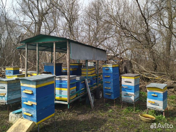 Пчелоприцеп легковой