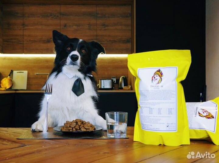 Сухой корм для собак