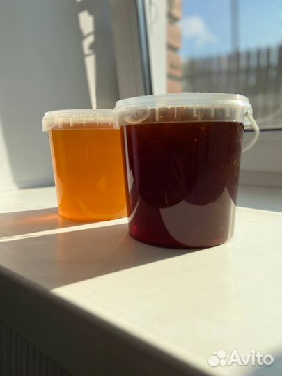 Свежий мёд из алтайского края