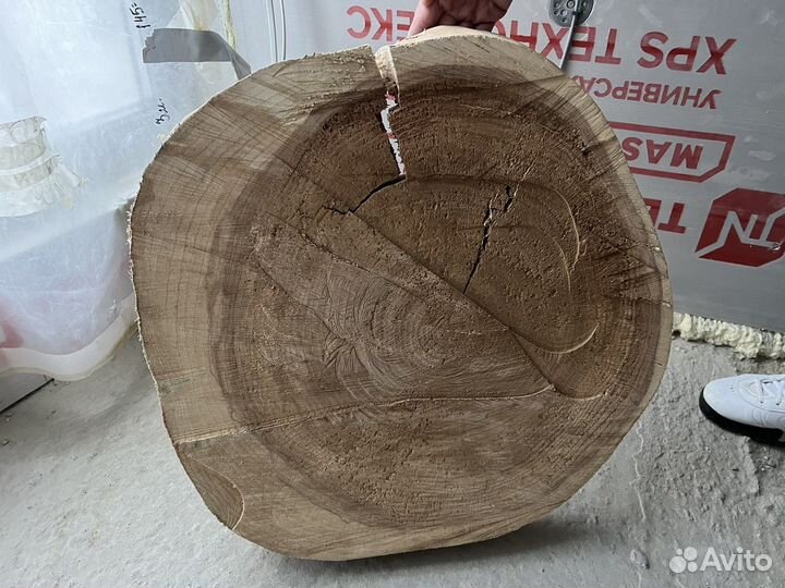 Большой спил Белого Ясеня