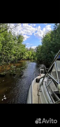 Аренда прокат катера
