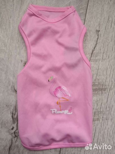 Одежда для маленьких собак