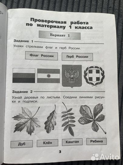 Рабочая Окружающий мир 2 Плешаков Проверочные