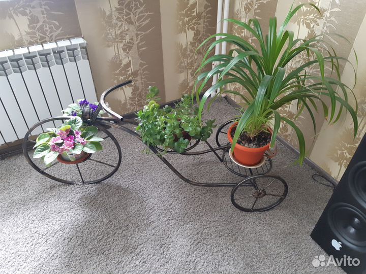 Цветочница 